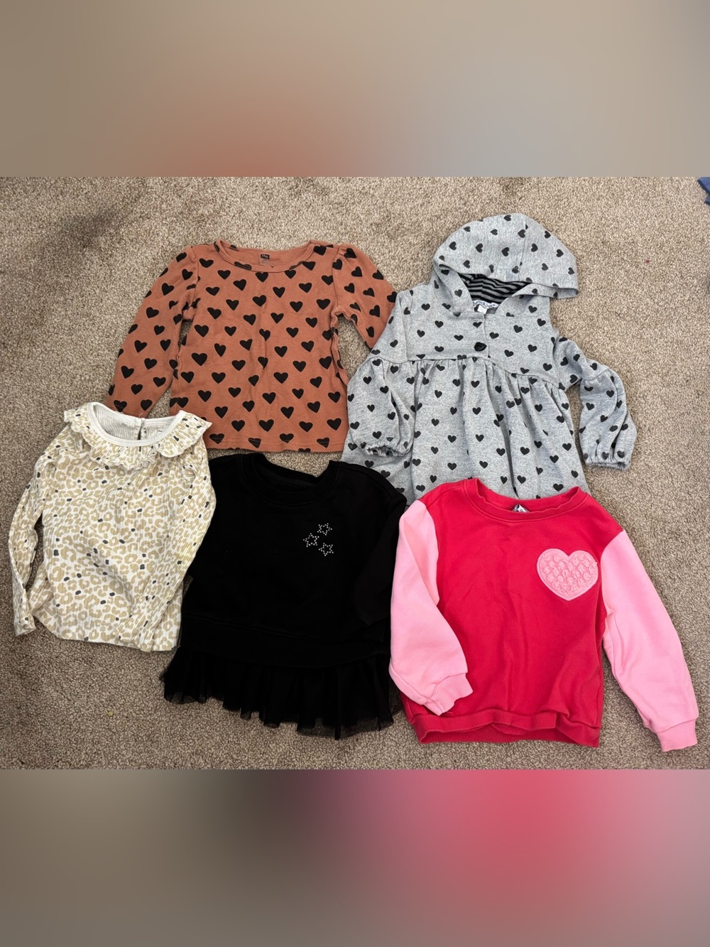 Assorted Long-Sleeve Tops Toddler Girl Bundle